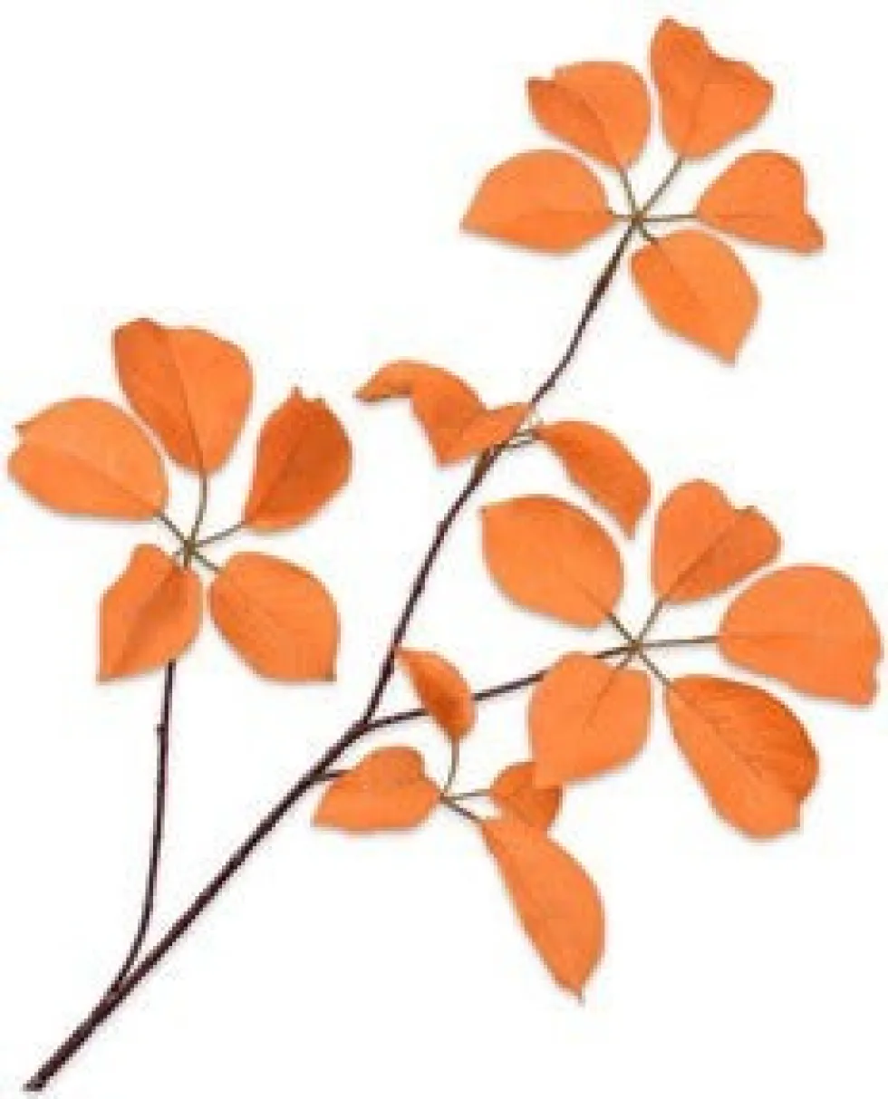 Silk-ka kunsttak Wilde Wingerd geel H 74 cm
