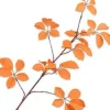Silk-ka kunsttak Wilde Wingerd geel H 124 cm