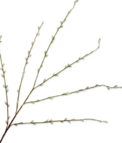 Silk-ka kunsttak Wilg groen H 111 cm