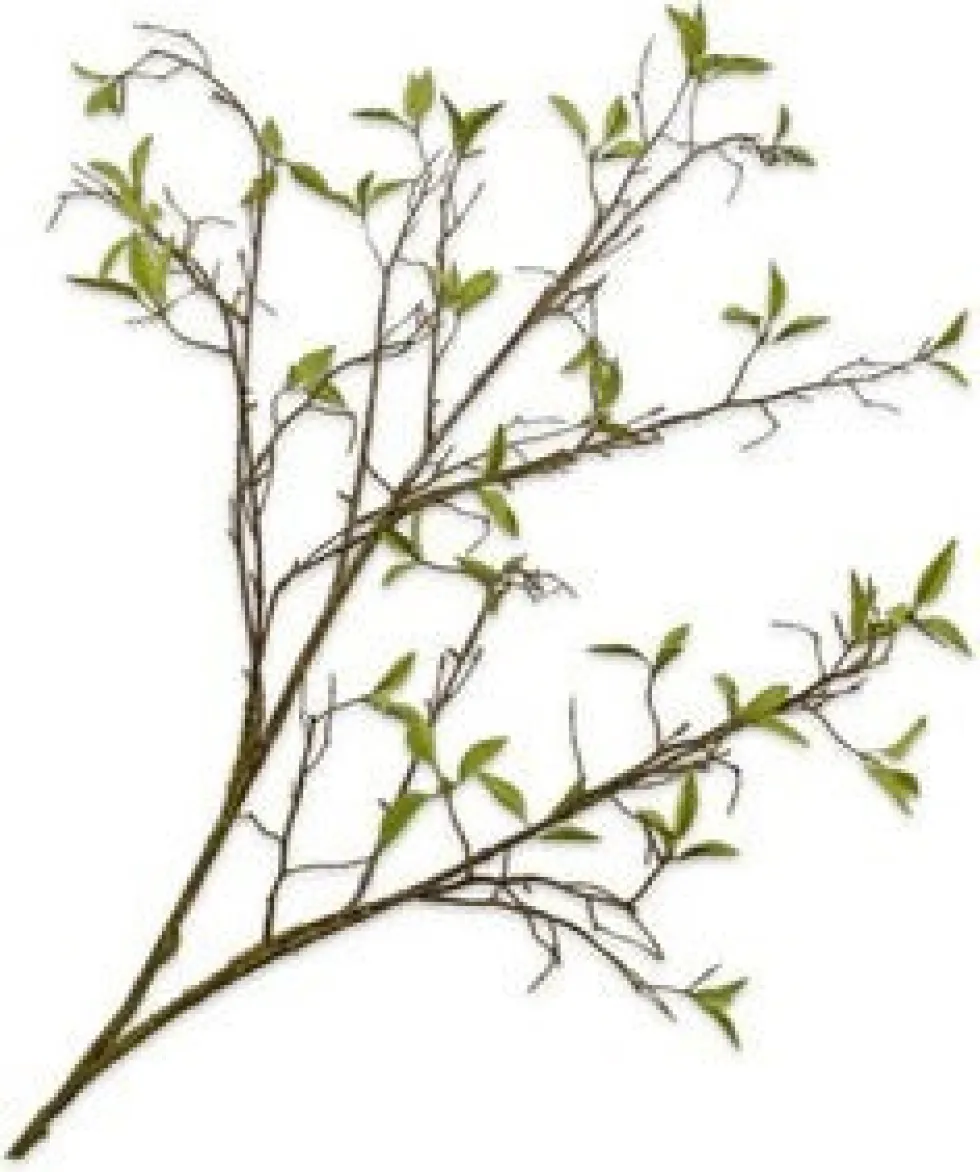 Silk-ka kunsttak Wilg H 107 cm