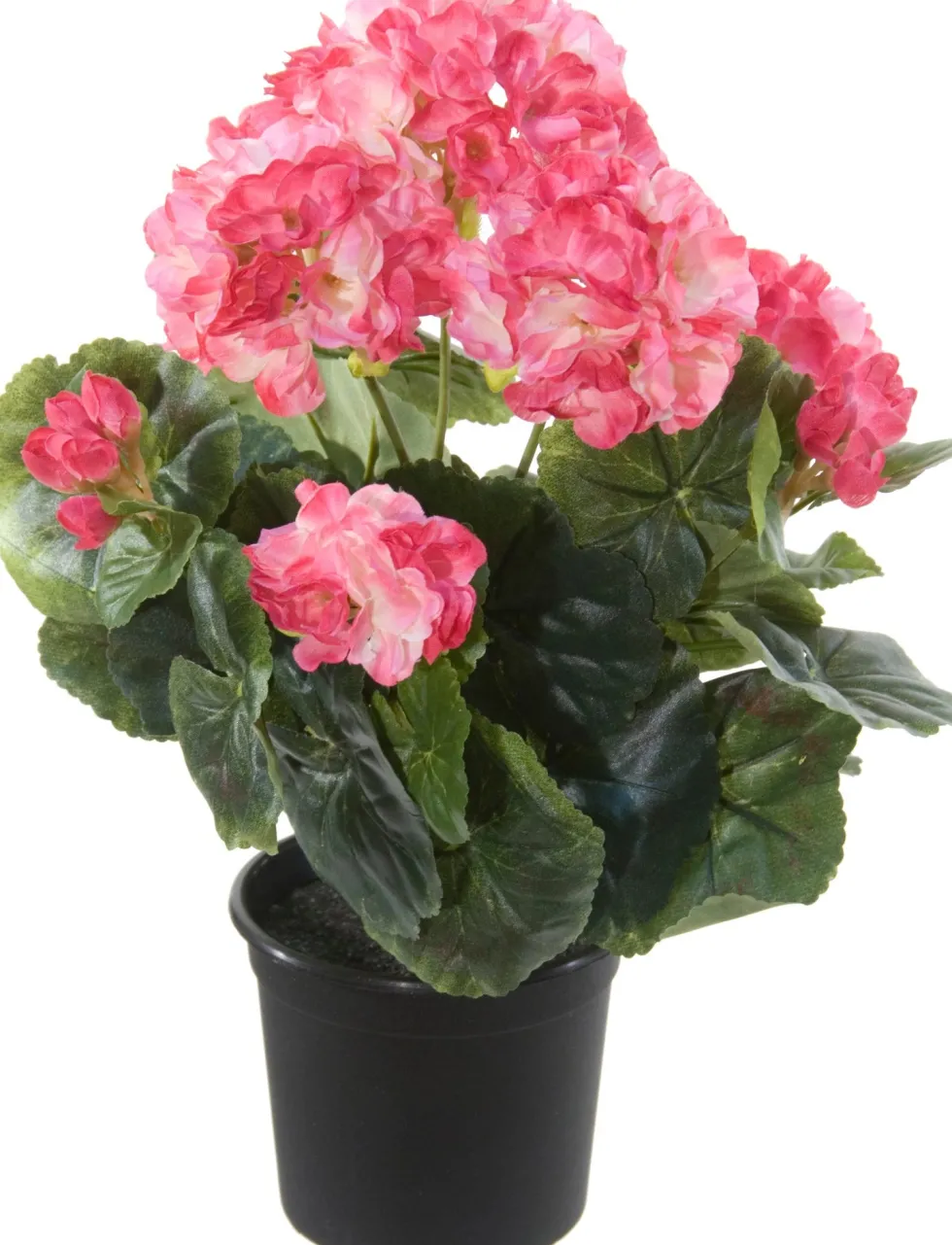 Tina kunstplant Geranium roze / crème H 35 cm