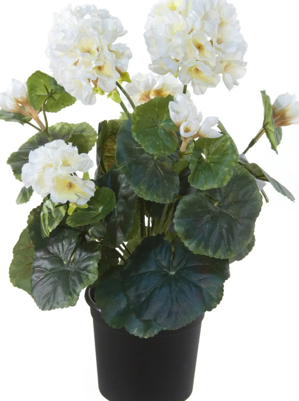 Tina kunstplant Geranium wit H 35 cm