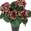 Tina kunstplant Hortensia rood H 52 cm