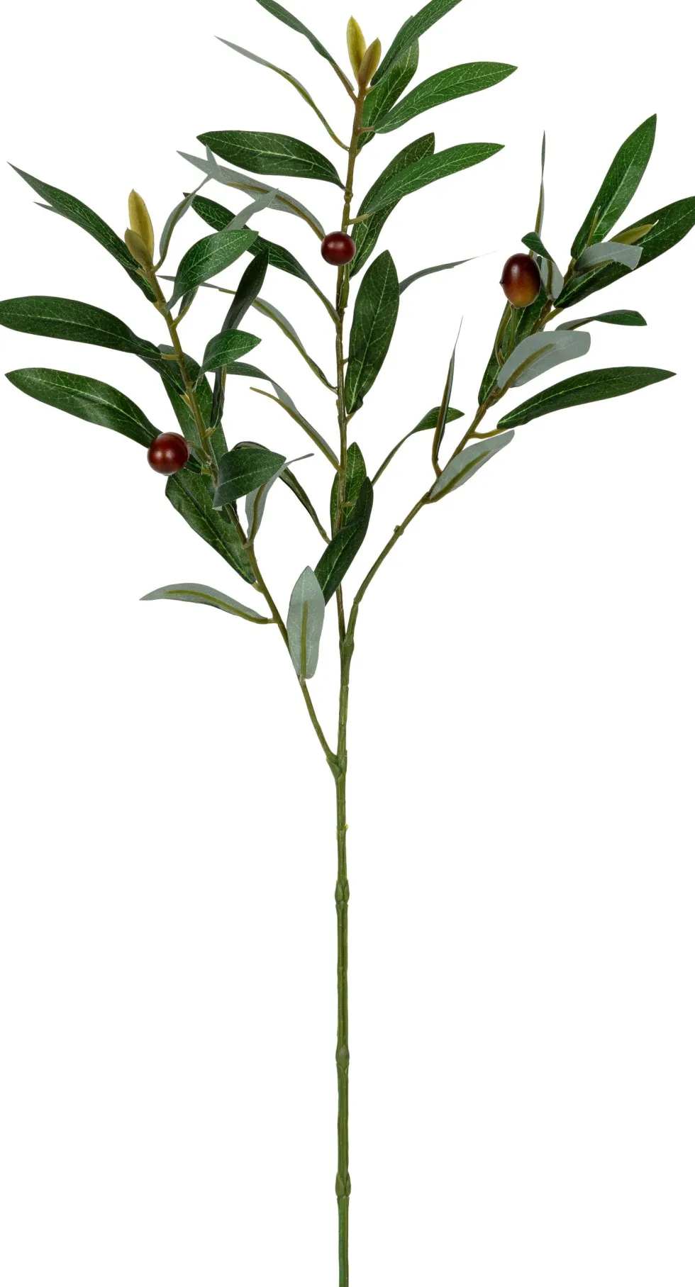 Tina kunsttak Olijf rood H 50 cm