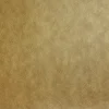 Unique Living placemat Ava goud 30 x 43 cm