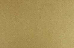 Unique living placemat Twinkle goud 28,5 x 43 cm
