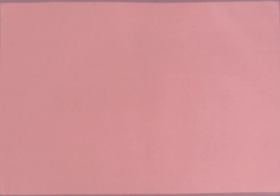 Unique Living placemat unique outdoor roze 33 x 48 x 0,5 cm