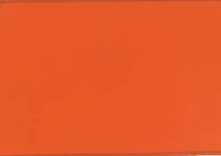 Unique Living placemat unique outdoor oranje 33 x 48 x 0,5 cm