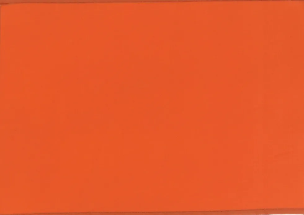 Unique Living placemat unique outdoor oranje 33 x 48 x 0,5 cm