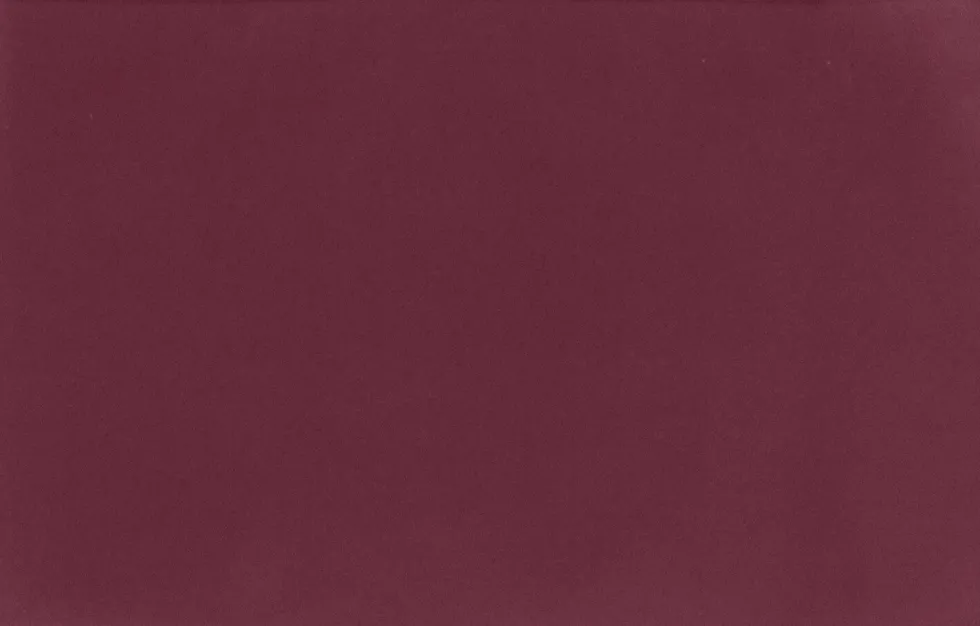 Unique Living sierkussen Unique Outdoor paars 33 x 48 x 0,2 cm