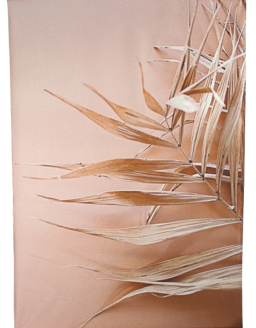 Wandkleed Peach oranje 136 x 105 cm