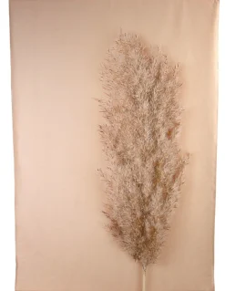 Wandkleed Pluim naturel 137 x 105 cm