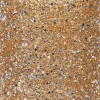 Waxinelichthouder Strass Lois goud D 13,5 H 15 cm